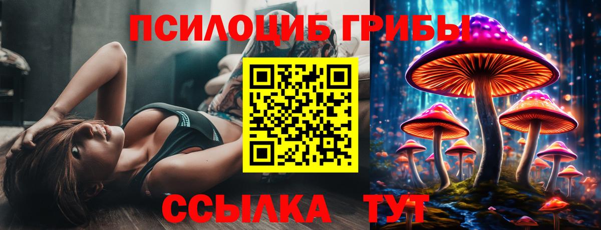 Псилоцибиновые грибы мухоморы  Вход с VPN  Мценск  Псилоцибиновые грибы мухоморы 